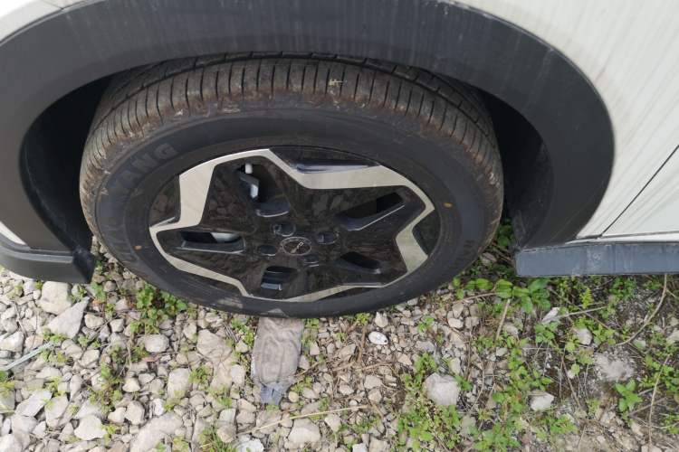 Used BYD Dolphin 2021 405 km Fashion Edition