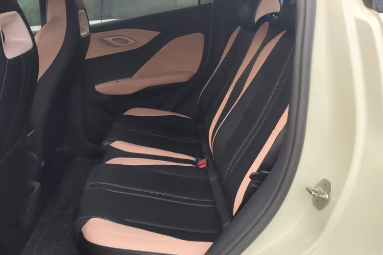 Used BYD Seagull 2023 Free Edition Left Rear Seat