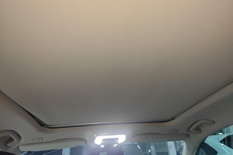 Used Hongqi H9 2020 2.0T Smart Connect Flagship Edition
