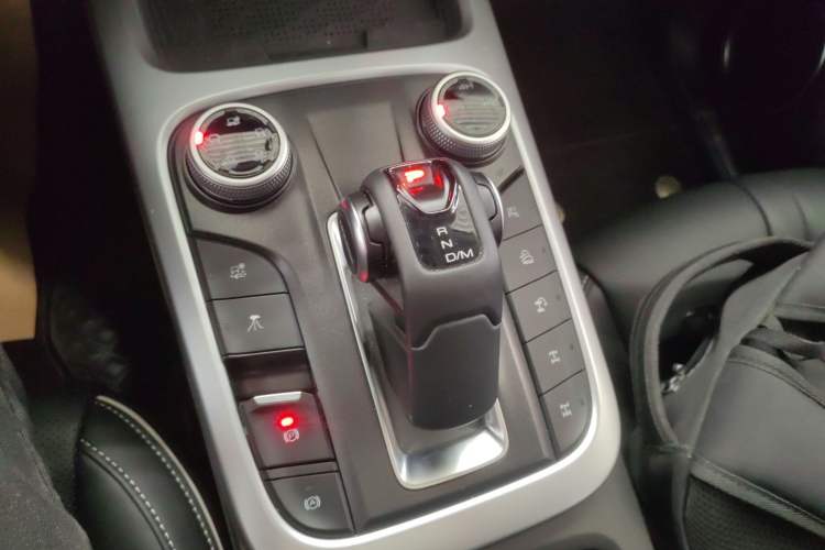 Used Tank 300 2024 2.0T Conqueror