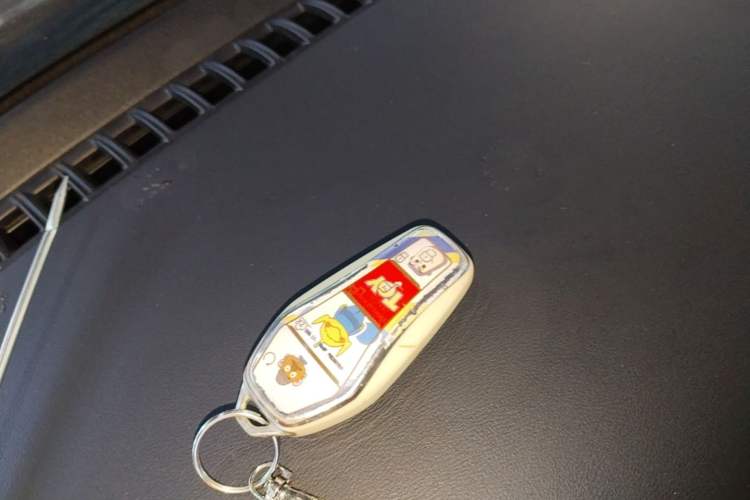 Used BYD Yuan PLUS 2023 Champion Edition 510KM Leading Model
