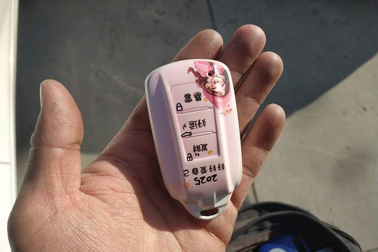 Used Dongfeng Aeolus Yixuan 2020 230T Automatic Dazzle Track Edition