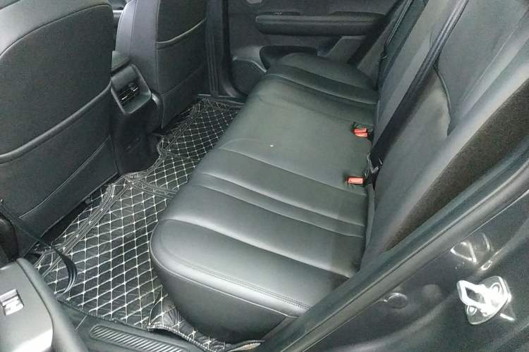 Used Wuling Xingguang S 2024 510 km Flagship Version Left Rear Seat