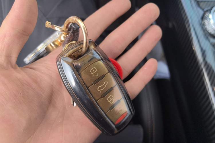 Used Haval DARGO 2021 1.5T DCT Two-Wheel Drive Border Collie Edition