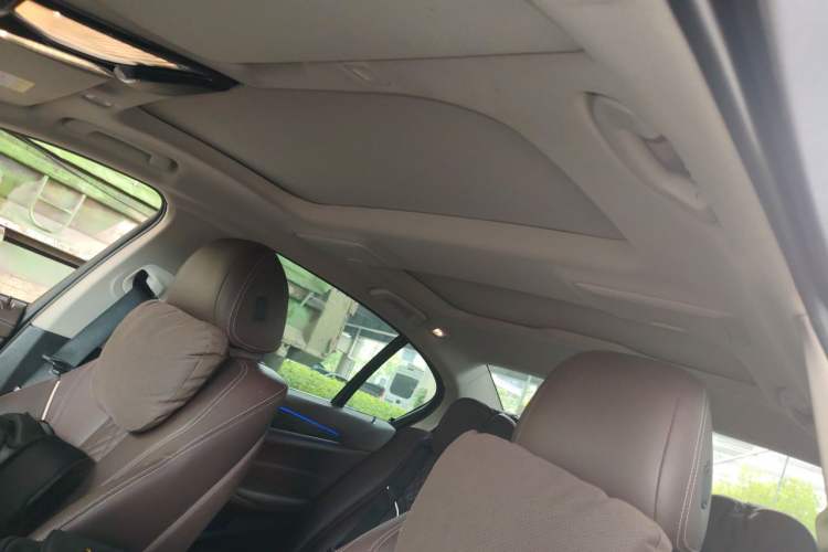 Used BMW 5 Series 2020 530Li Leading Edition Luxury Package