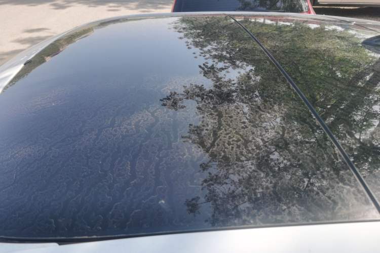 Used Hyundai Veloster 2011 1.6L Automatic Luxury Edition