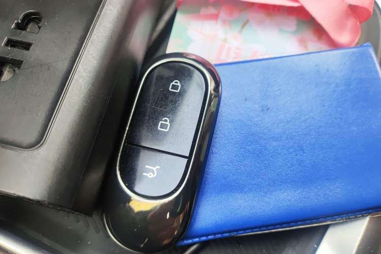 Used Leapmotor C11 2023 Pure Electric 500 Comfort Edition
