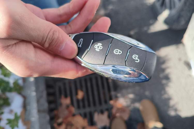 Used Hongqi H5 2023 2.0T Automatic Smart Connect Flagship Edition
