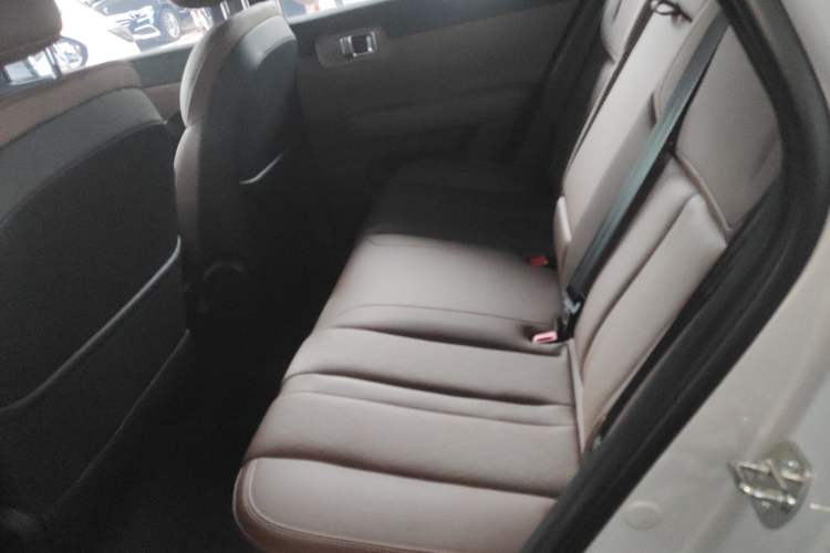 Used Wuling Xingguang S 2024 130km Flagship Version
