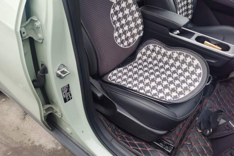 Used NETA V 2022 Chao 400 Lite
