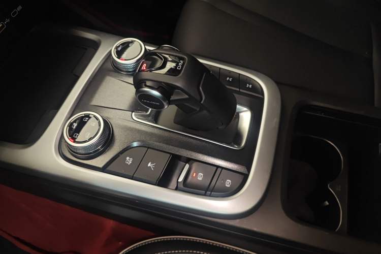 Used Tank 300 2022 2.0T Border Limited Edition
