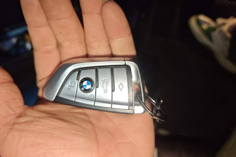 Used BMW 5 Series New Energy 2020 530Le Luxury Package