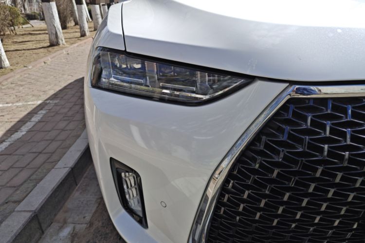 Used Wey P8 2018 2.0T Flagship Model
