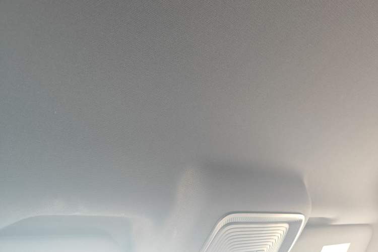 Used BYD Qin PLUS  Headliner