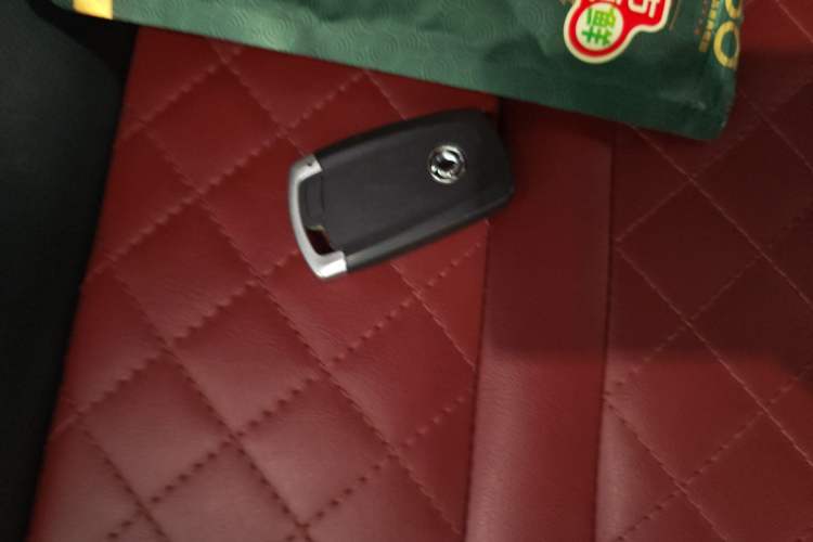 Used FORTHING T5 2020 1.5T Automatic Luxury Model China VI Standard
