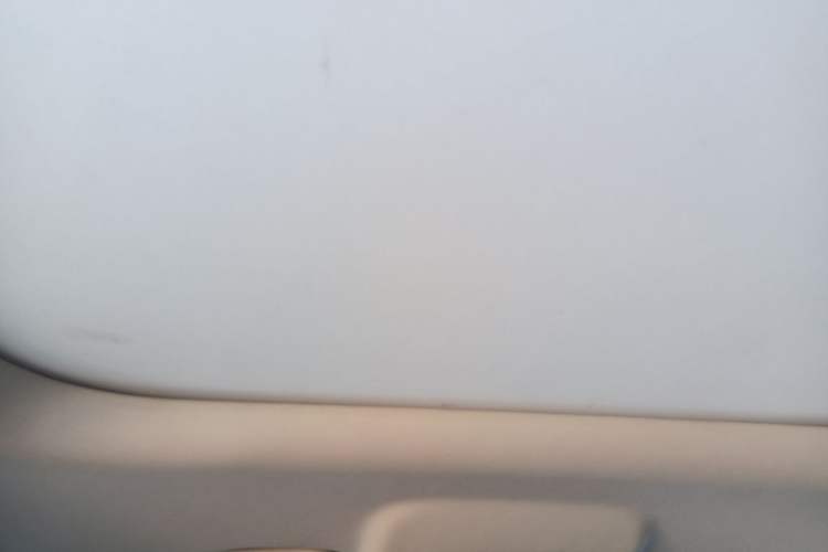 Used CHANGAN OSHAN X7 2020 1.5T Automatic Luxury Version Headliner