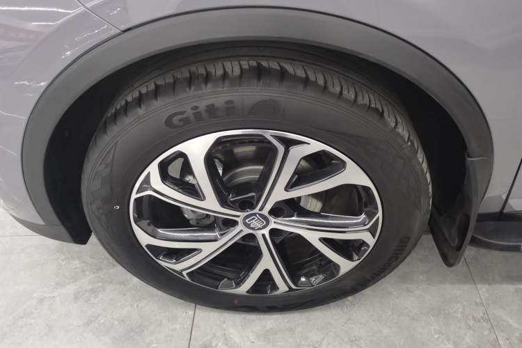 Used BYD Tang New Energy 2025 DM-i 115KM Prestige Model
