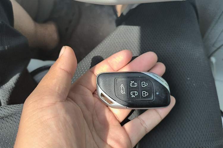 Used FORTHING Xinghai V9 2024 1.5TD 200km Chinese Knot Series Luxury Version