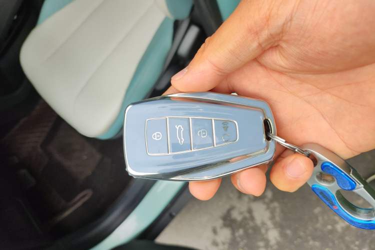 Used Geometry E Firefly 2024 301km Starlight Vehicle Key