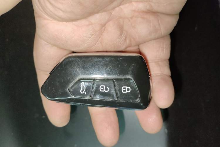 Used Roewe RX5 New Energy 2021 ePLUS National Trend Ronglin Luxury Edition Vehicle Key