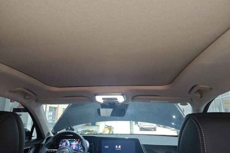 Used Hongqi H9 2025 2.0T Two-Wheel Drive Flagship Luxury Business Edition 5 Seats
