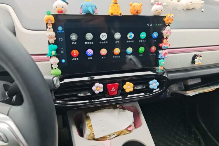 Used SOL E10X 2022 Flower Fairy Style Baby's Breath