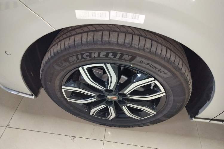 Used Hongqi HQ9 2023 2.0T Smart Connect Flagship Edition