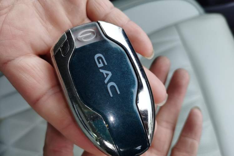 Used GAC Trumpchi GS8 2022 Dual-Engine Series 2.0TM Four-Wheel Drive Flagship Edition (7 Seats)