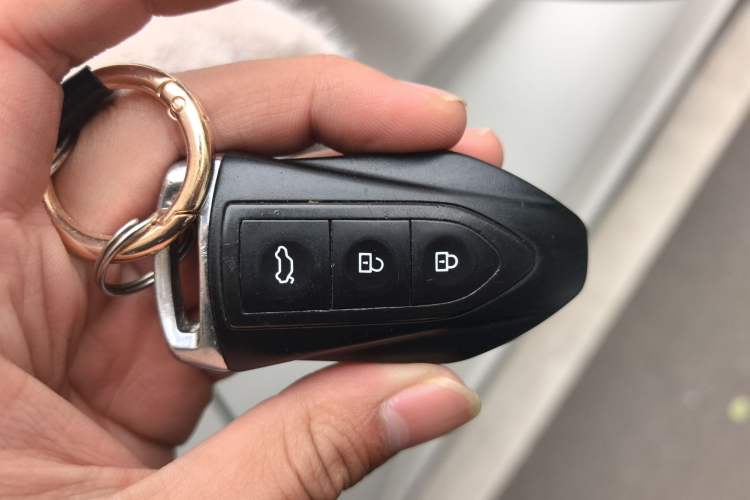 Used Leopaard CS10 2017 2.0T Automatic Luxury Model