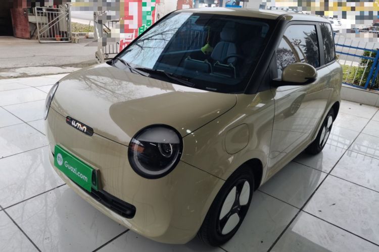 Used Qiyuan Lumin 2023 205km Xiangqin Version