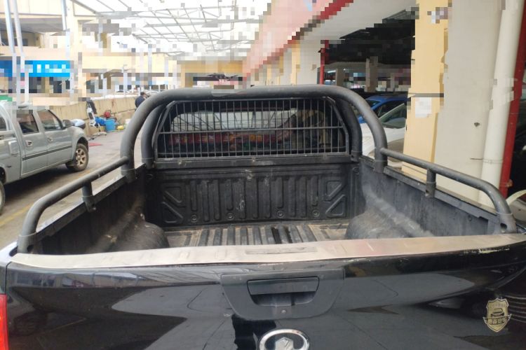 Used Great Wall Poer 2021 2.0T Commercial Version Manual Diesel 4x4 Elite Long-Box GW4D20M
