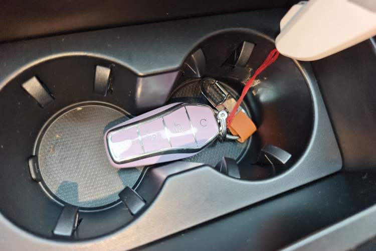 Used BYD Tang New Energy 2023 DM-i Champion Edition 112KM Prestige Model Interior 1