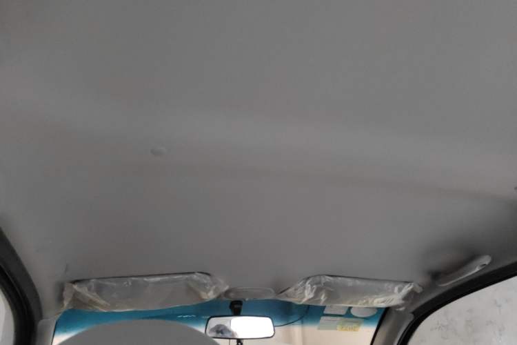 Used Baojun Lechi 2010 1.0L P-TEC Manual Superior Model Headliner