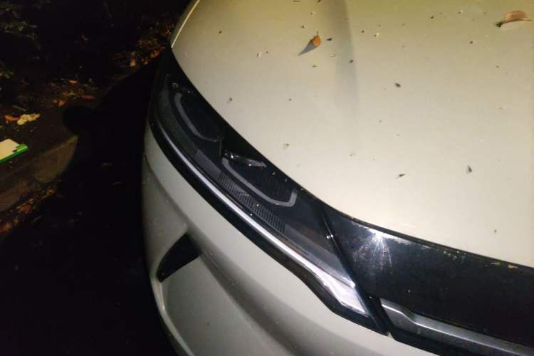 Used BYD Yuan UP 2024 401KM Beyond Edition Right Front Headlight