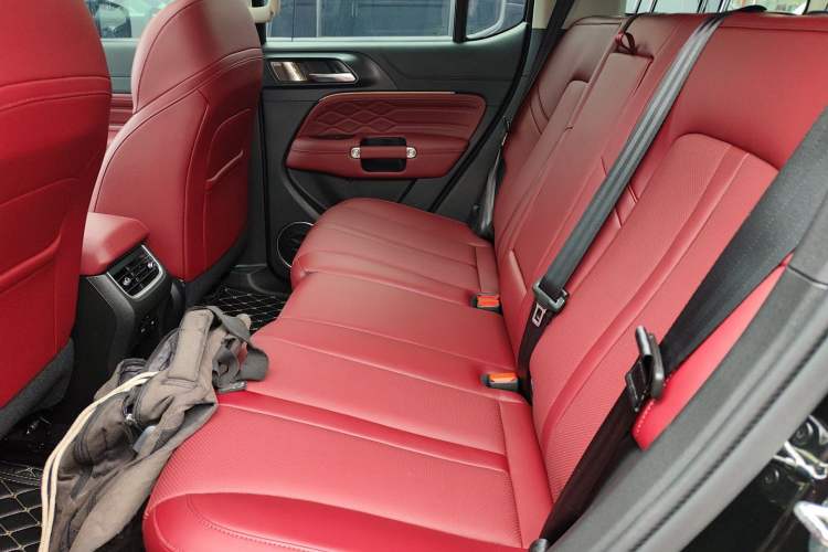 Used Tank 300 2024 2.0T Conqueror
