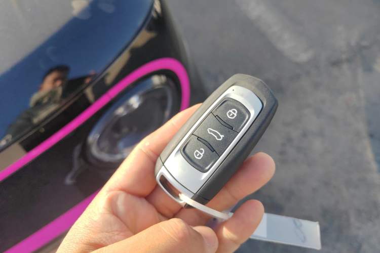 Used Geely Galaxy Panda 2025 210km Panda Kart