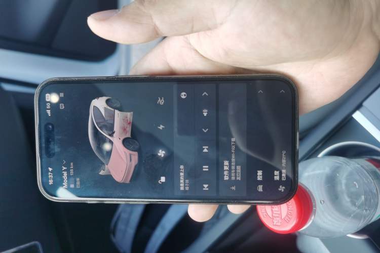 Used Tesla Model Y 2026 Rear-Drive Model
