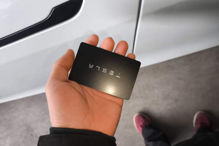 Used Tesla Model Y 2025 Long-Range All-Wheel Drive First Edition