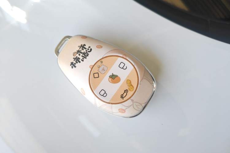 Used Leapmotor T03 2023 310 Lite Edition
