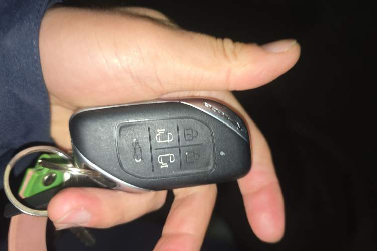 Used FORTHING Xinghai V9 2024 1.5TD 100km Chinese Knot Series Luxury Version
