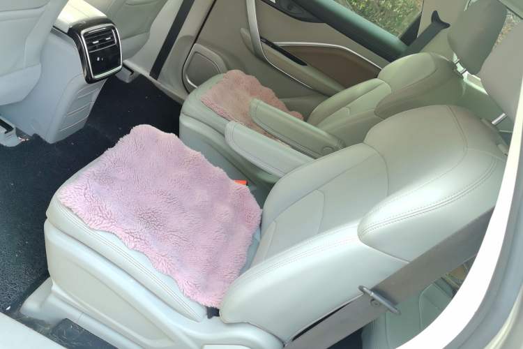 Used Geely Auto Jiajie New Energy 2021 ePro 1.5TD PHEV Comfort Edition Left Rear Seat