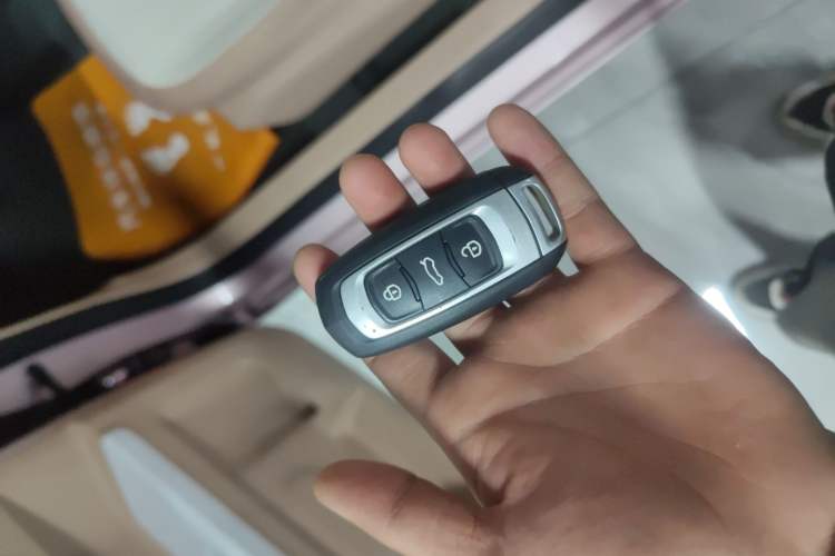 Used Geely Galaxy Panda 2023 Panda Mini 200km Endurance Bear Vehicle Key