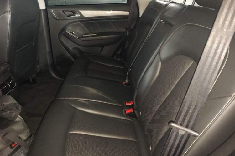 Used Roewe RX5 2016 20T Two-Wheel Drive Automatic Internet Smart Edition Left Rear Seat