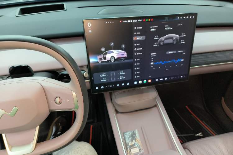 Used ONVO L60 2024 60 kWh Rear-Drive Version Audio And AC Panel