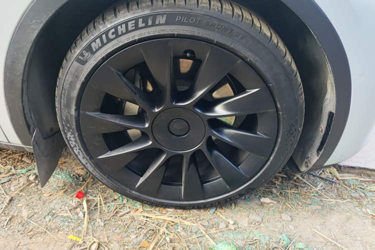 Used Tesla Model Y 2021 Standard Range Rear-Wheel Drive Version