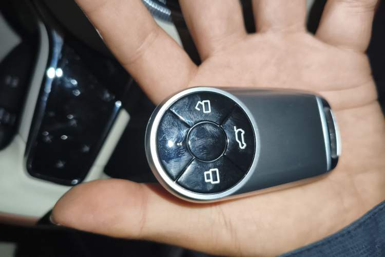 Used ORA Ballet Cat 2022 401 km Nutcracker Edition
