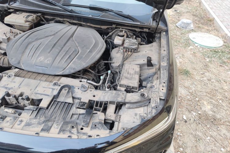 Used Hongqi H9 2020 2.0T Smart Connect Flagship Edition