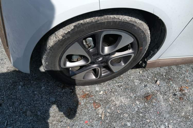 Used ORA White Cat 2022 Xiaoyue Mao Edition 360 km Luxury Model Lithium NMC
