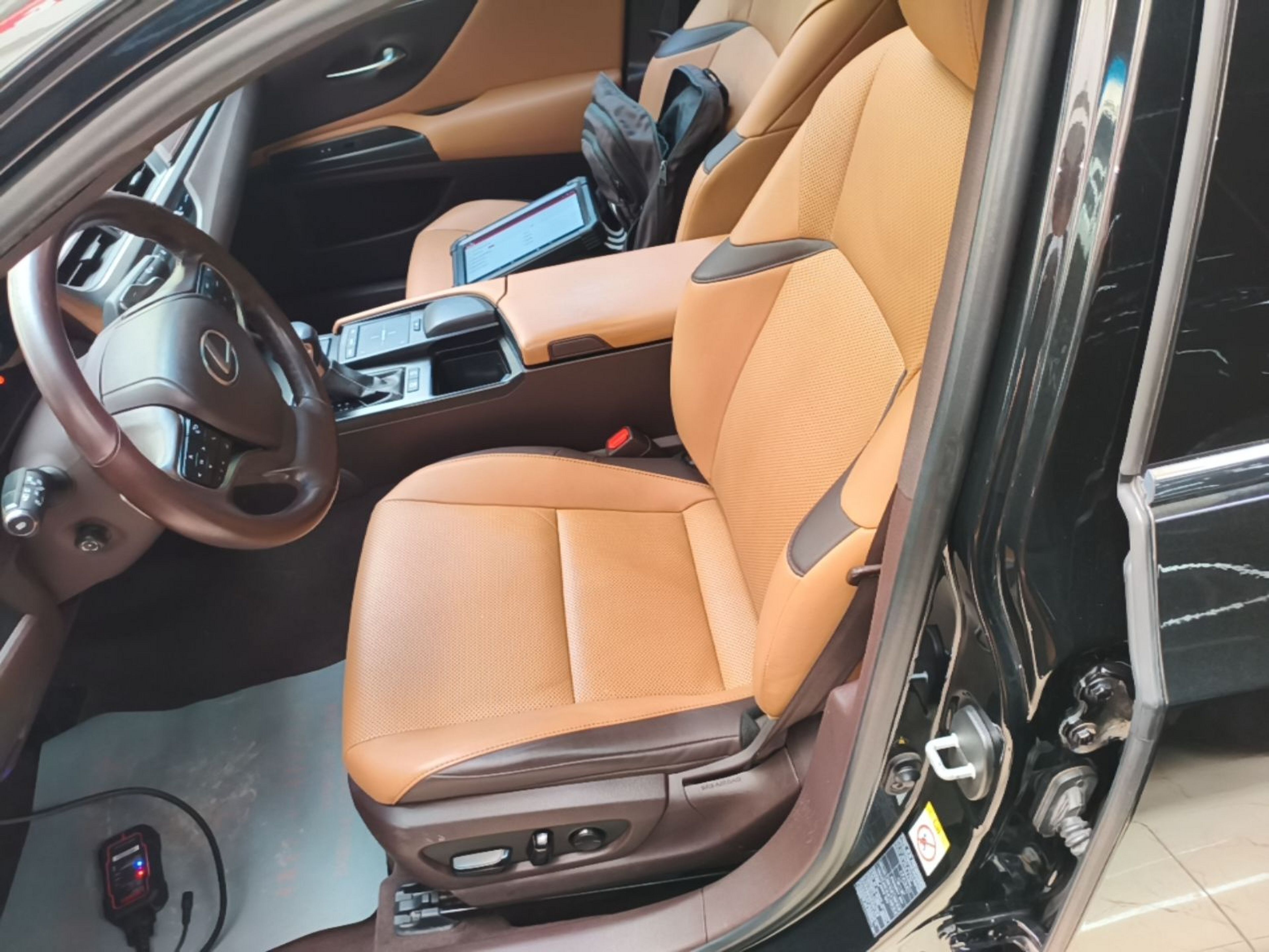 Interior delantero