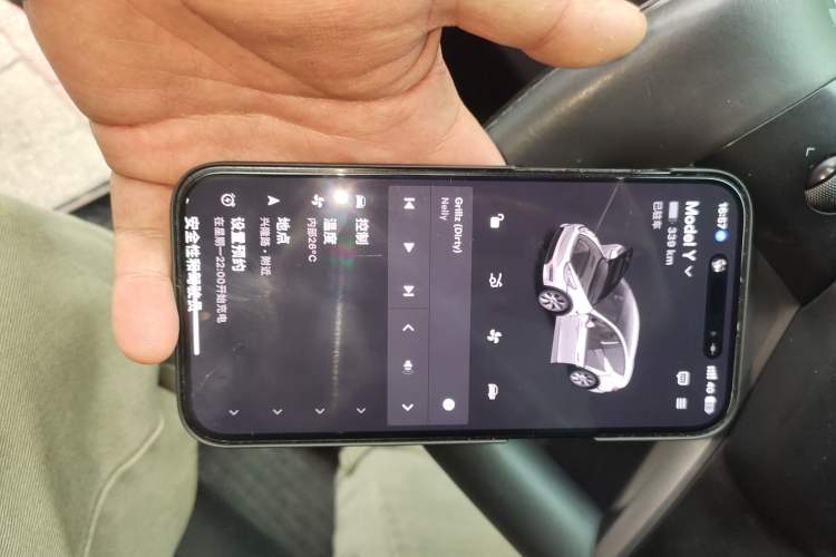 Used Tesla Model Y 2021 Standard Range Rear-Wheel Drive Version